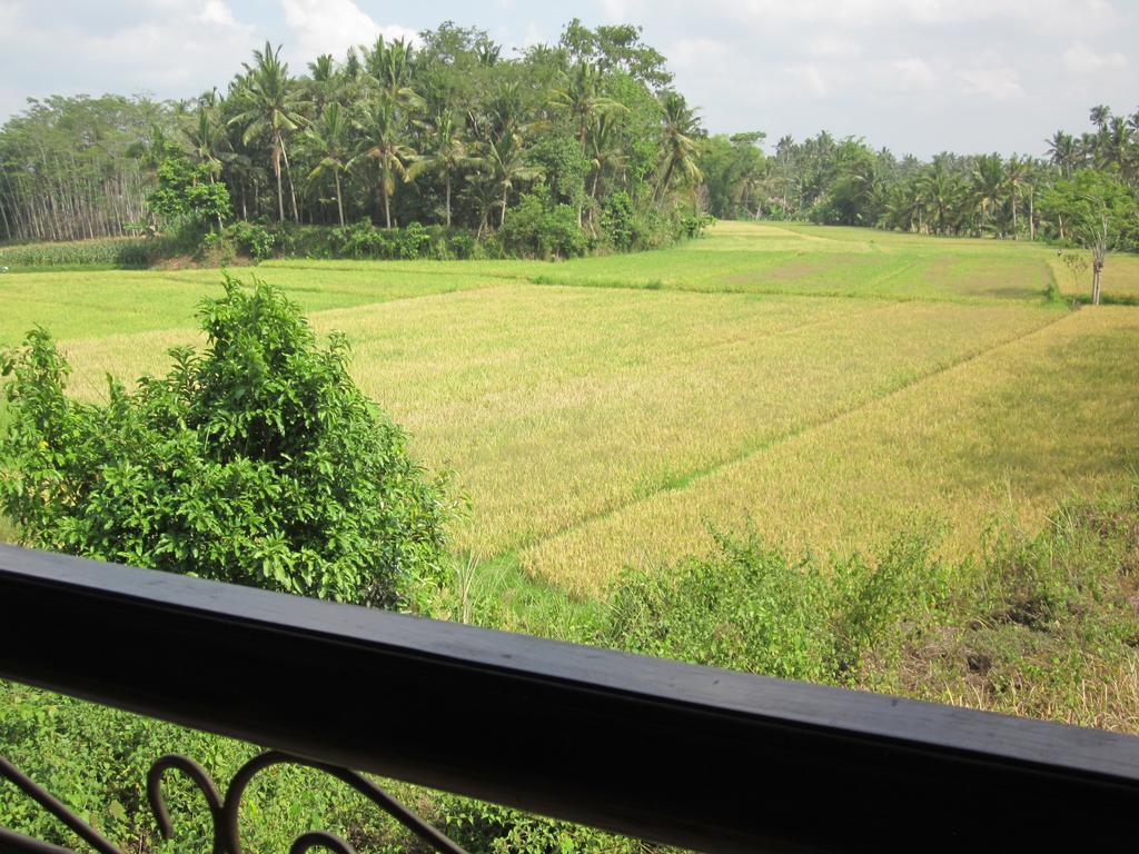 Frangipani Villas Ubud Exterior foto