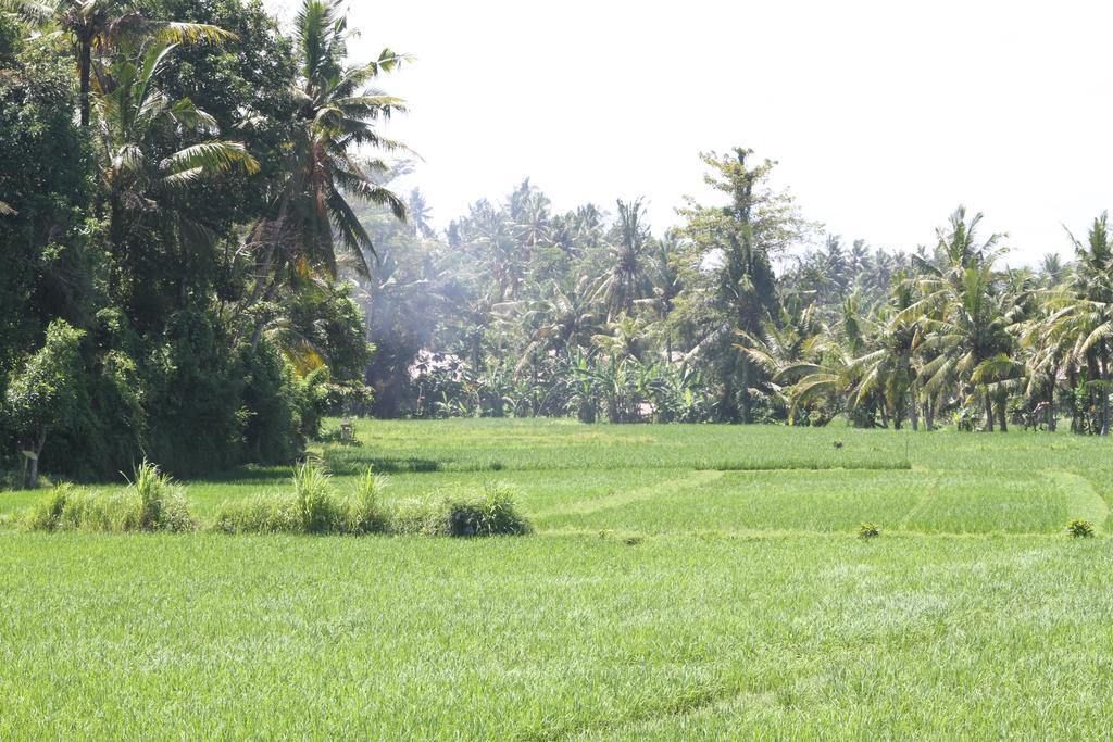 Frangipani Villas Ubud Exterior foto